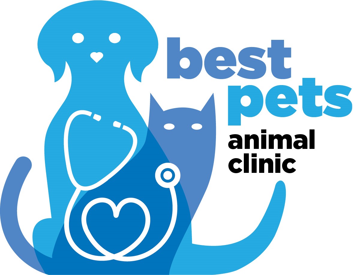Best Pets Animal Clinic - Georgetown , United States