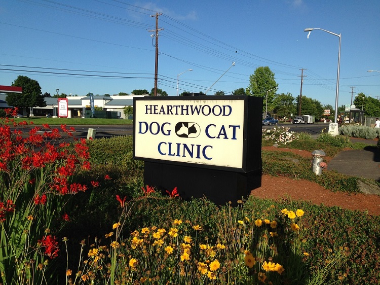 Hearthwood Veterinary Hospital - Vancouver , United States