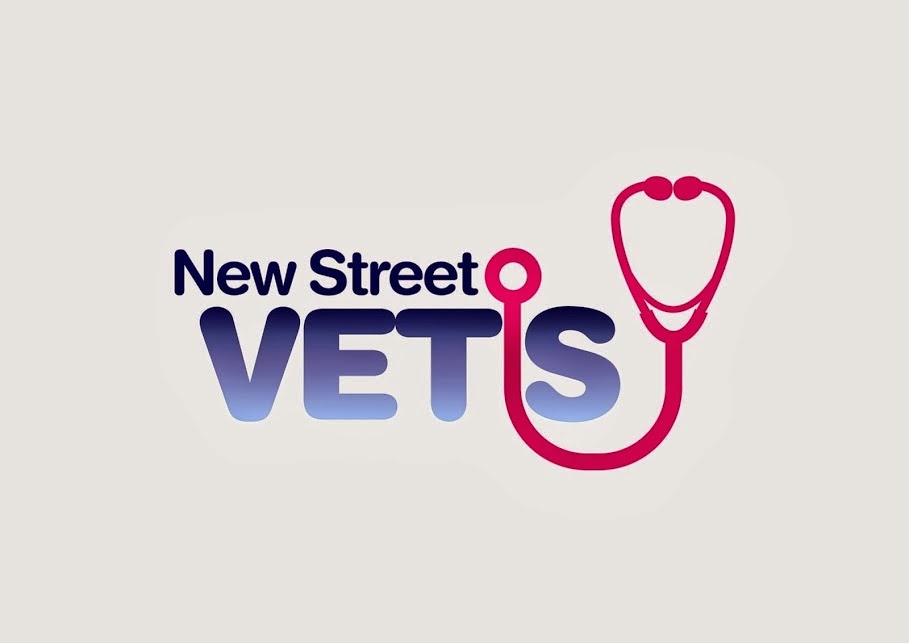 New Street Vets Honiton - Honiton , United Kingdom