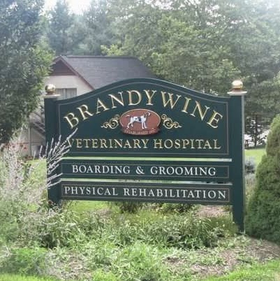 Brandywine Veterinary Hospital - Chadds Ford , United States