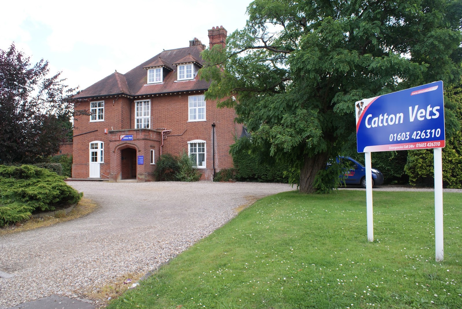 Medivet Catton - Norwich , United Kingdom