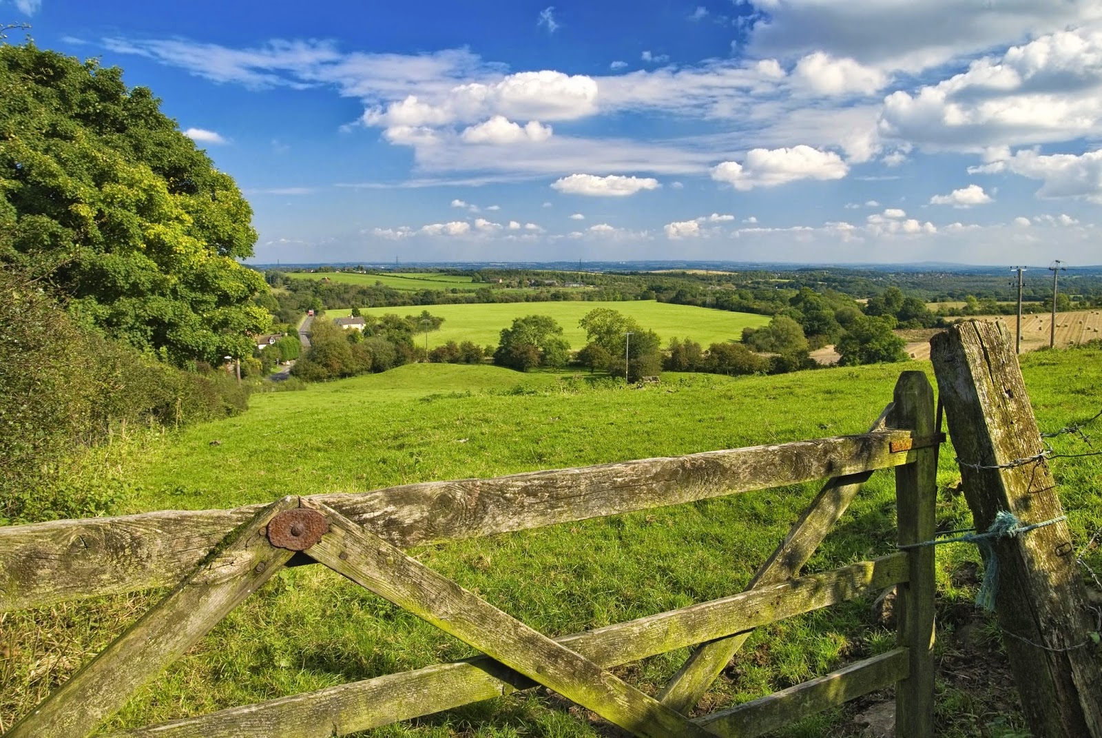 Severn Edge Vets Donnington - Telford , United Kingdom