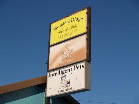 Moreleta Ridge/Rif Animal Clinic/Dierekliniek - Pretoria , South Africa