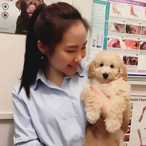 Belmont Veterinary Hospital - Belmont , Australia