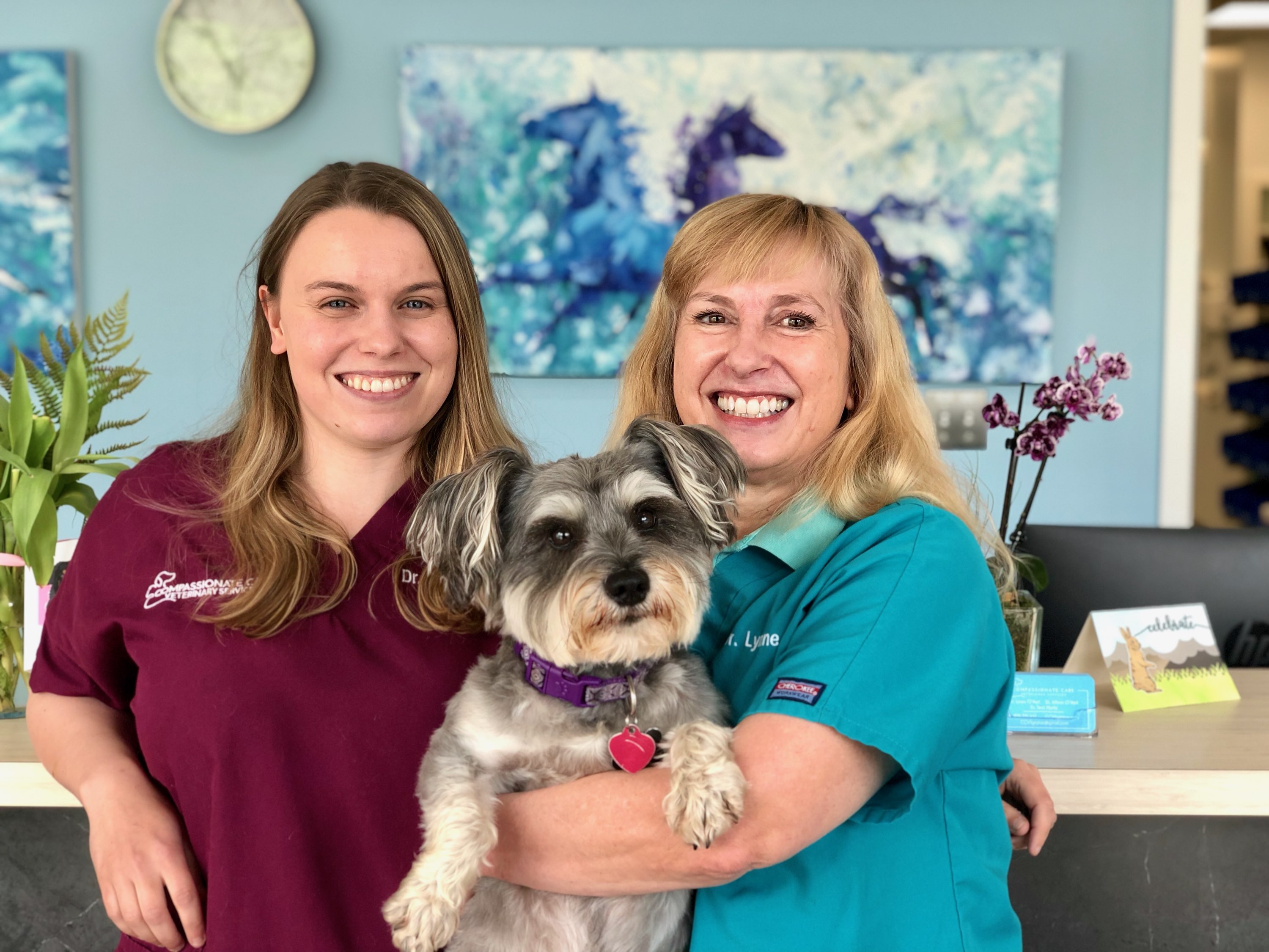 Compassionate Care Veterinary Services - Groton , United States