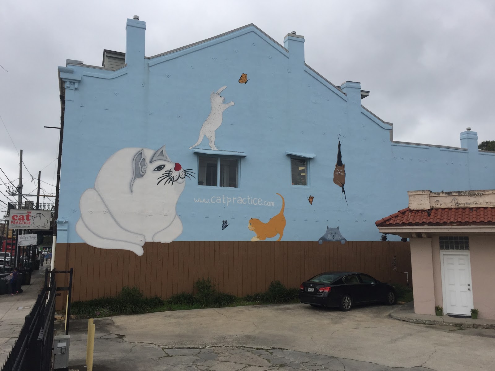 The Cat Practice - New Orleans , United States