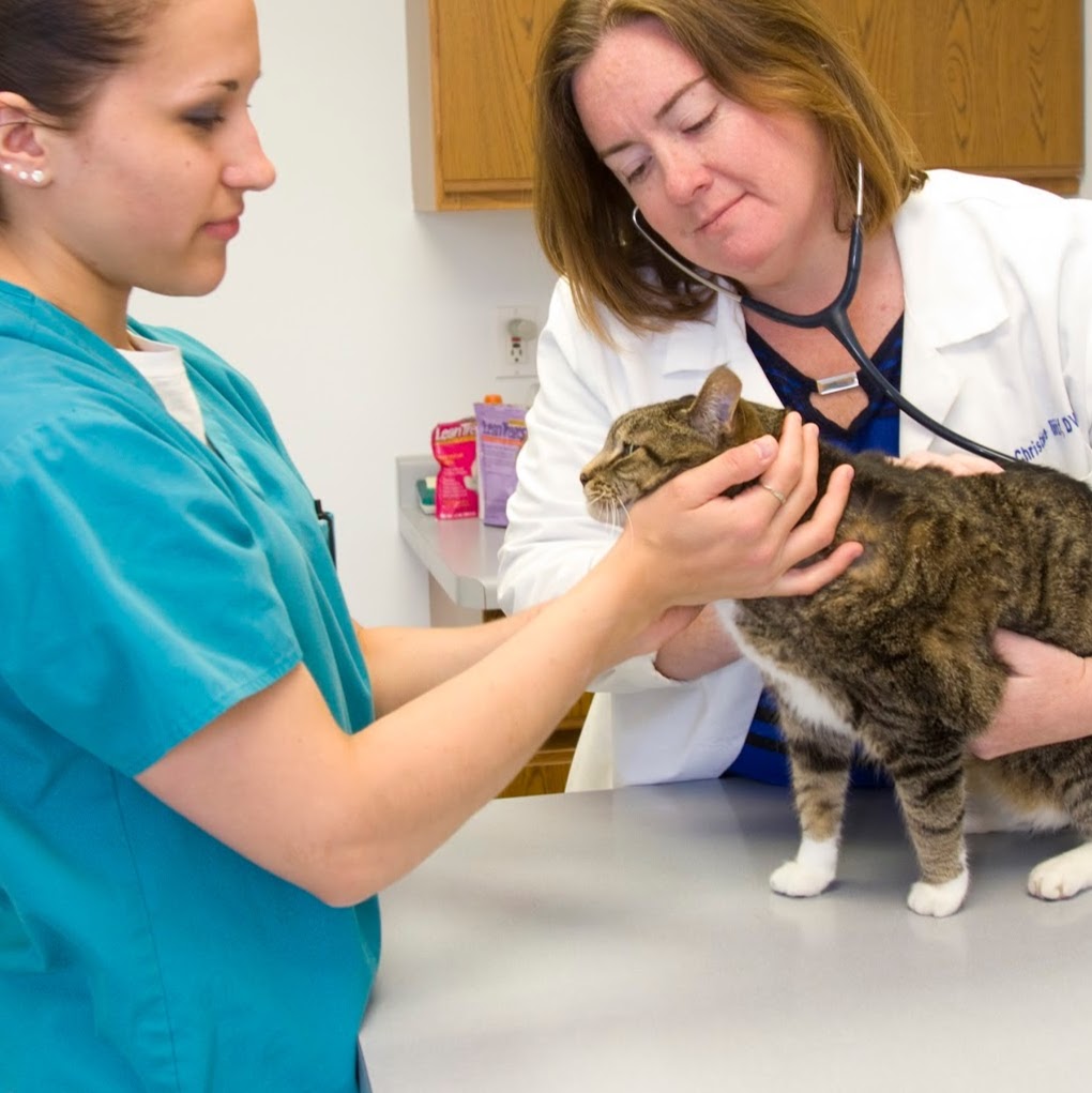 Citywide Pet Clinic - Monona , United States