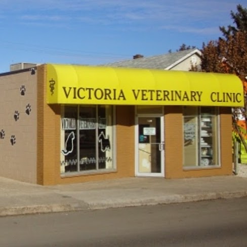 Victoria Veterinary Clinic - Regina , Canada