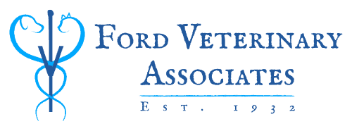 Ford Veterinary Associates Pc - Lewiston , United States