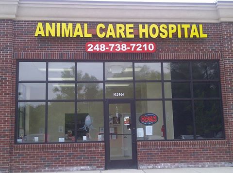 Waterford Animal Clinic - Waterford Twp , United States