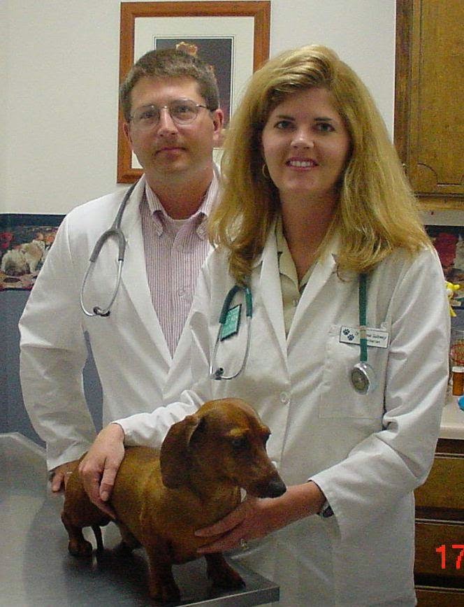 Animal Care Hospital - Oakland , United States