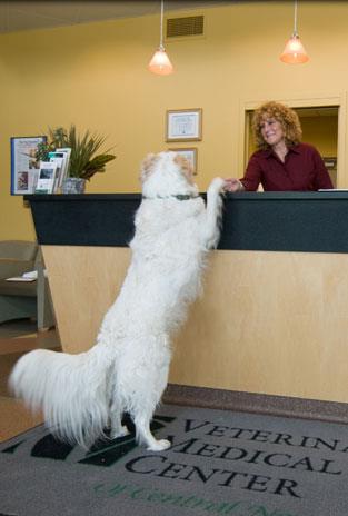 Veterinary Medical Center Of Cny - East Syracuse , United States