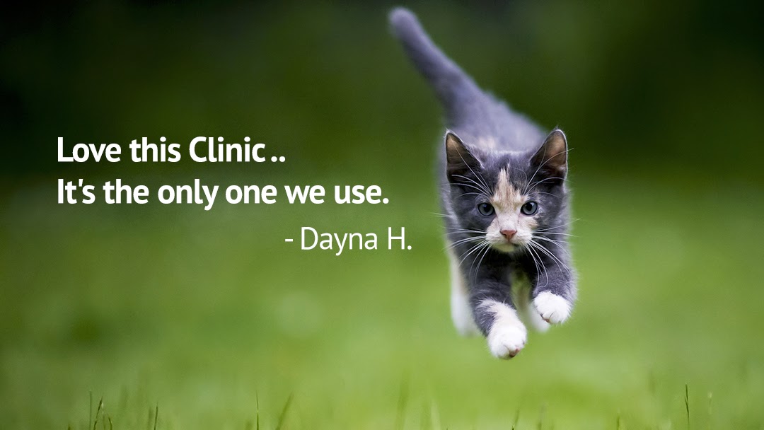 Levy Animal Clinic - Williston , United States