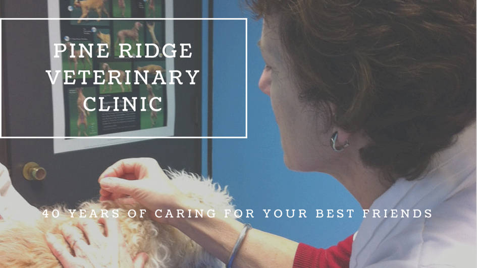Pine Ridge Veterinary Clinic - Cobourg , Canada