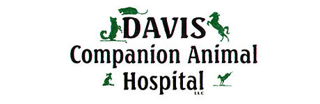 Davis Companion Animal Hospital - Woodbury , United States