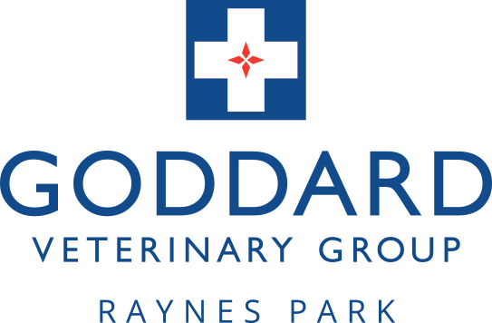 Goddard Vet Group Raynes Park - Raynes Park , United Kingdom
