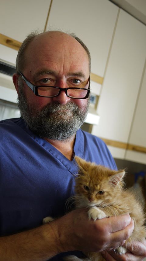 Great Slave Animal Hospital - Yellowknife , Canada