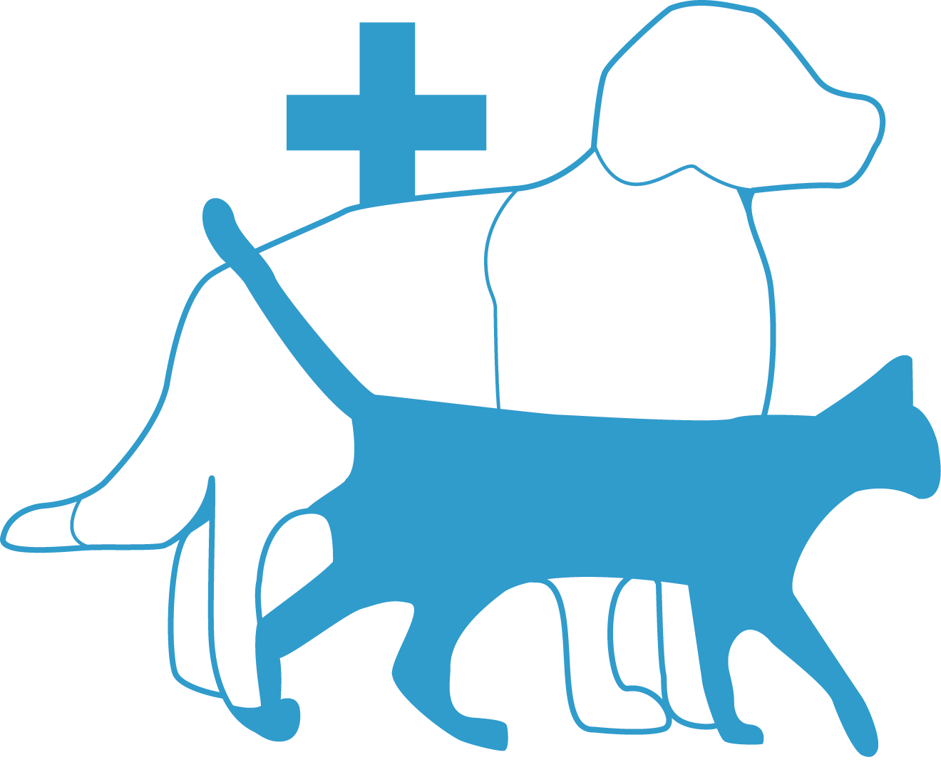 Blue Sky Animal Hospital - North Bay , Canada