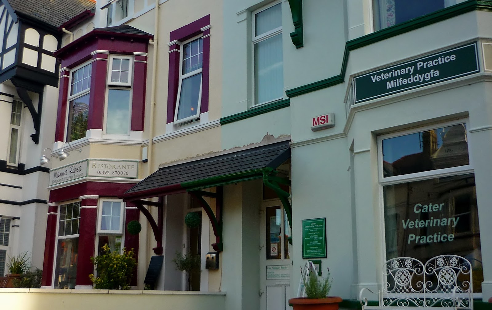 Cater Veterinary Practice - Llandudno , United Kingdom