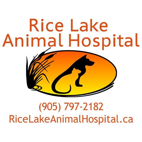 Rice Lake Animal Hospital - Bailieboro , Canada
