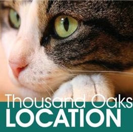 The Cat Doctor - Thousand Oaks , United States