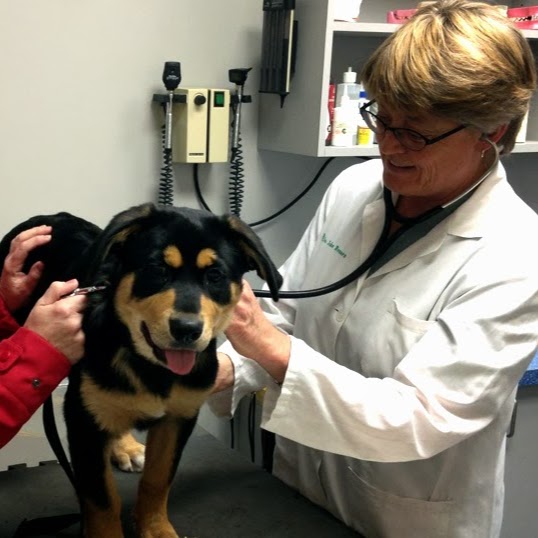 Peterborough Veterinary Services - Peterborough , Canada