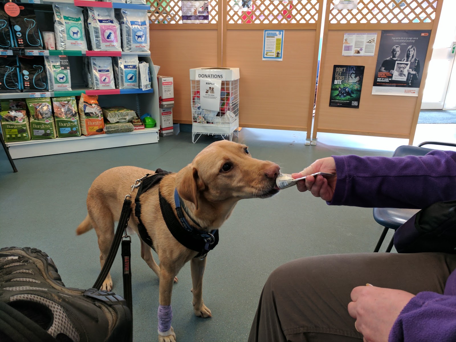 Alver Veterinary Group Gosport - Gosport , United Kingdom