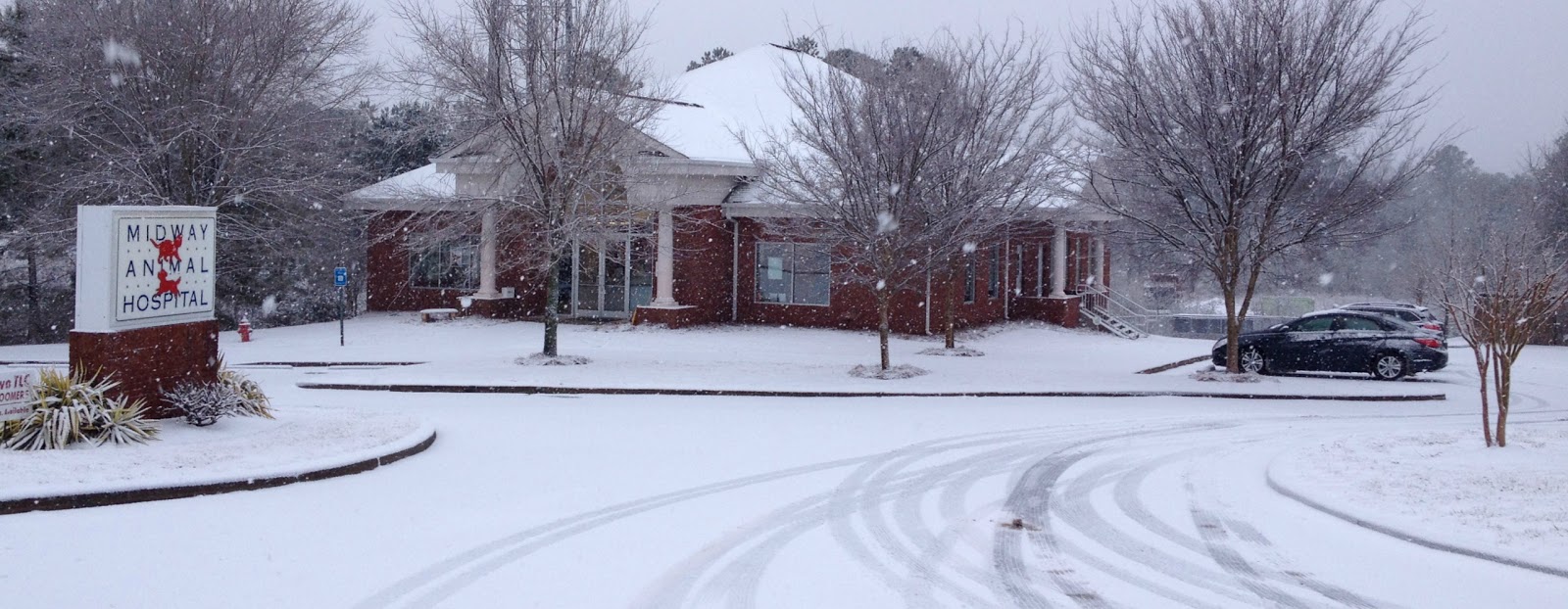 Midway Animal Hospital - Alpharetta , United States