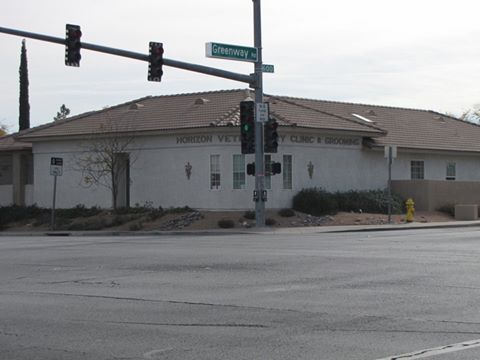 Horizon Veterinary Clinic - Henderson , United States
