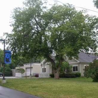Brighton Animal Hospital Pc - Rochester , United States
