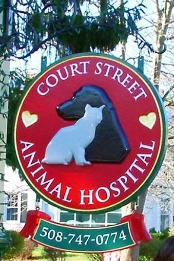 Court Street Animal Hospital - Plymouth , United States