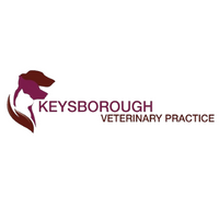 Keysborough Veterinary Practice - Keysborough , Australia