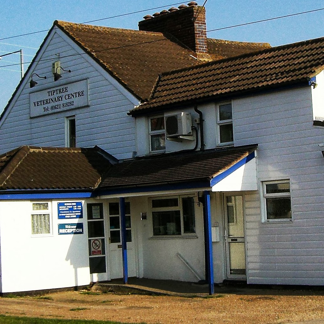 Medivet Tiptree - Colchester , United Kingdom