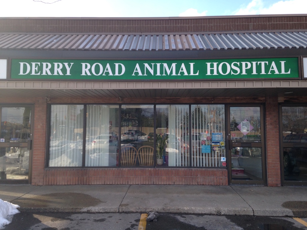 Derry Road Animal Hospital - Mississauga , Canada