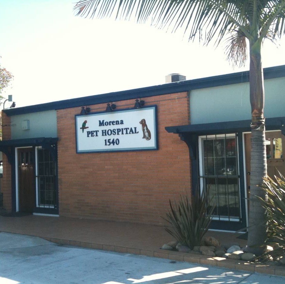 Morena Pet Hospital - San Diego , United States