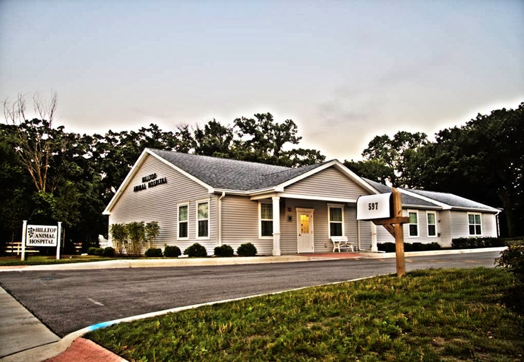 Hilltop Animal Hospital Experienced Veterinarian In Palatine - Palatine , United States