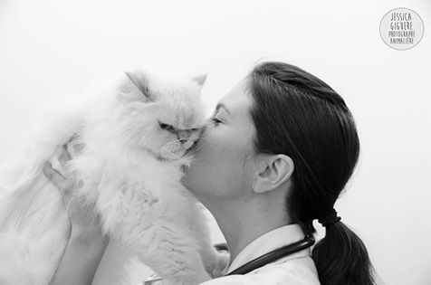 Groupe Veterinaire Frontenac - Ville de Quebec , Canada