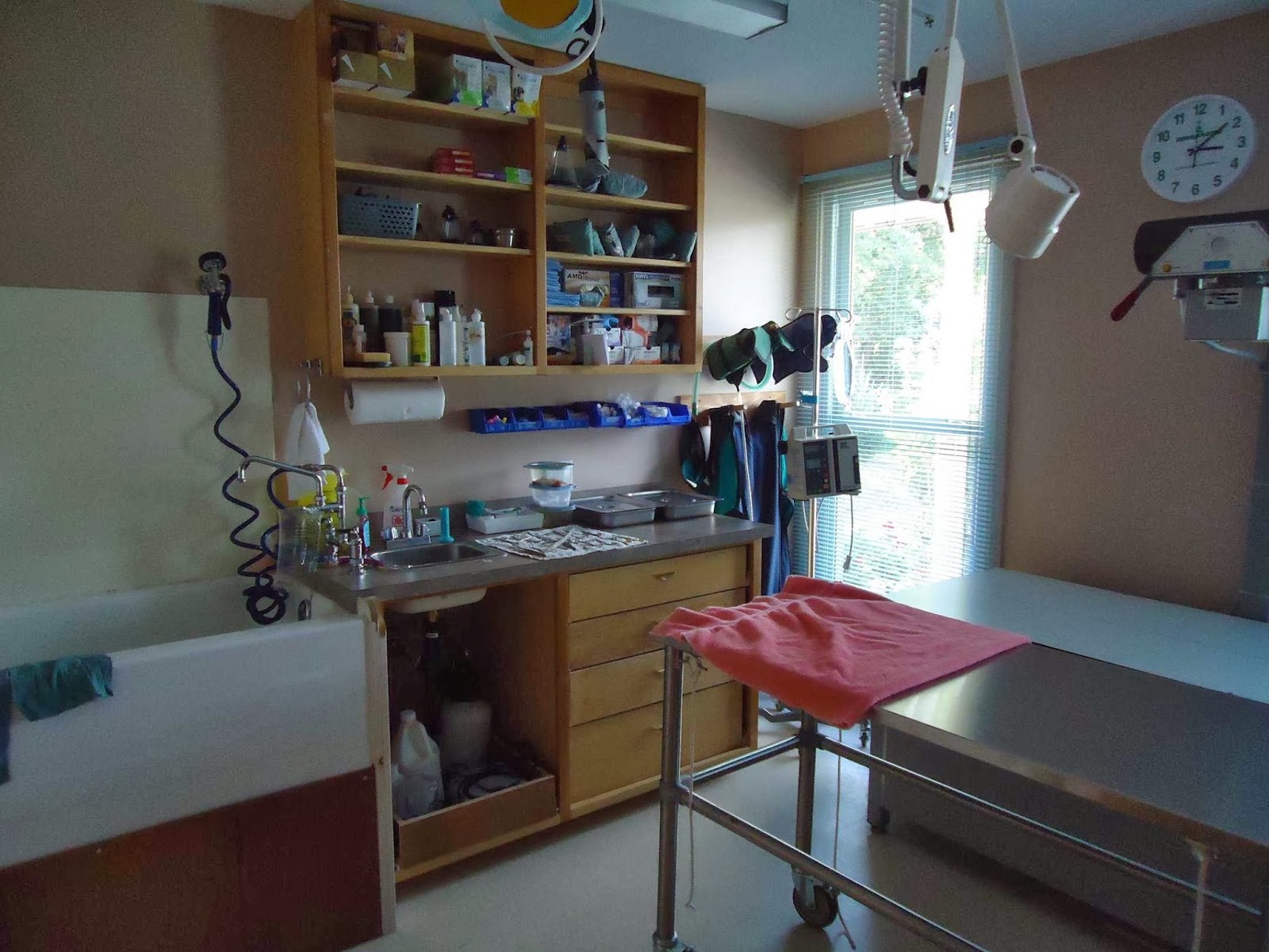 Binbrook Animal Hospital - Binbrook , Canada