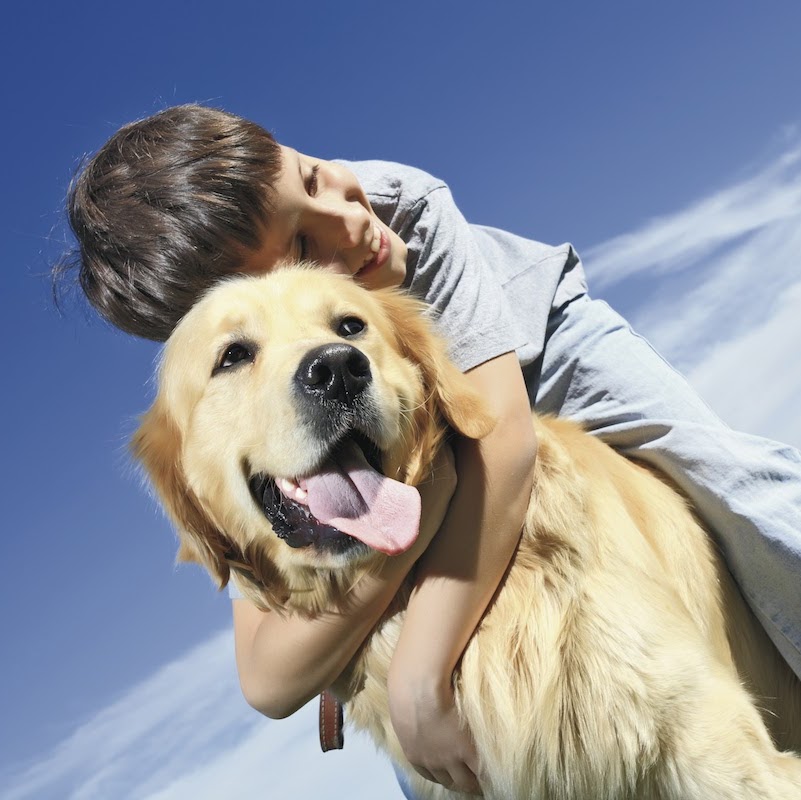 Browns Plains Veterinary Surgery - Browns Plains , Australia