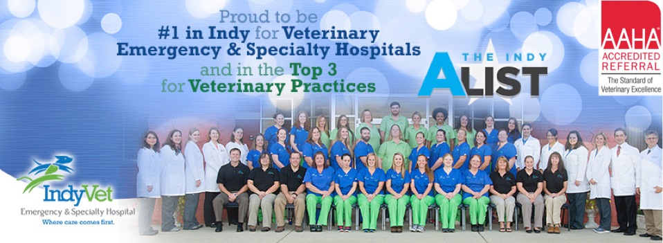 Indyvet Emergency And Specialty Hospital - Indianapolis , United States