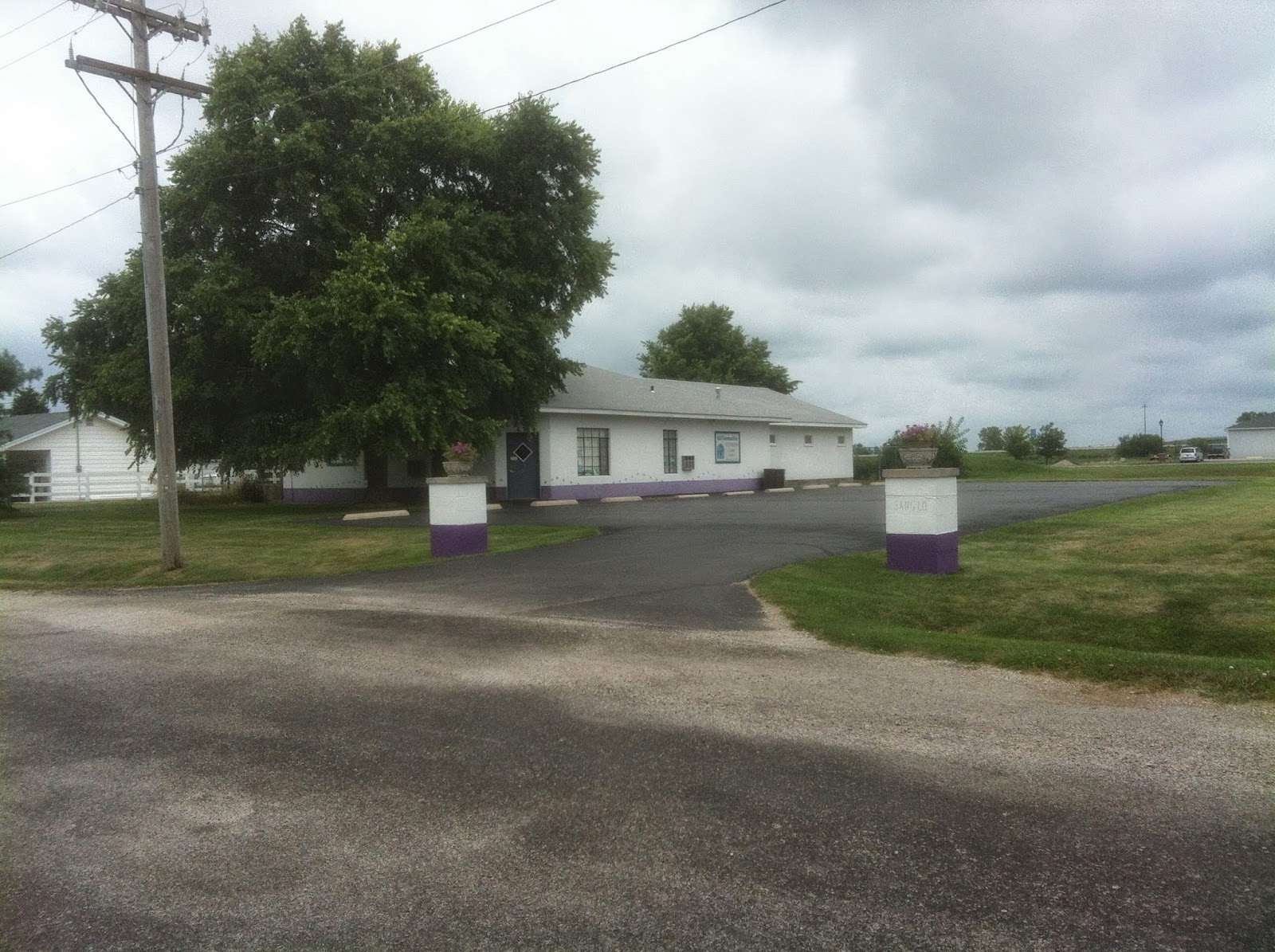 Williamsville Veterinary Clinic - Williamsville , United States