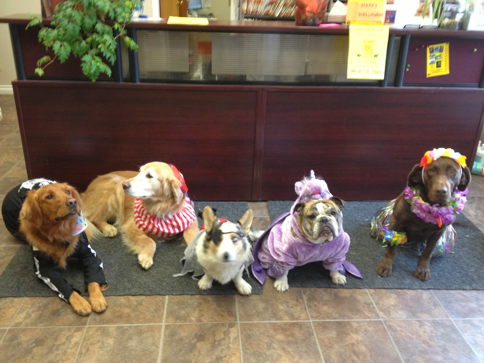 Sherwood Animal Clinic - Regina , Canada