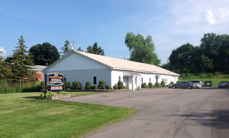 County Line Animal Hospital - Ontario , United States