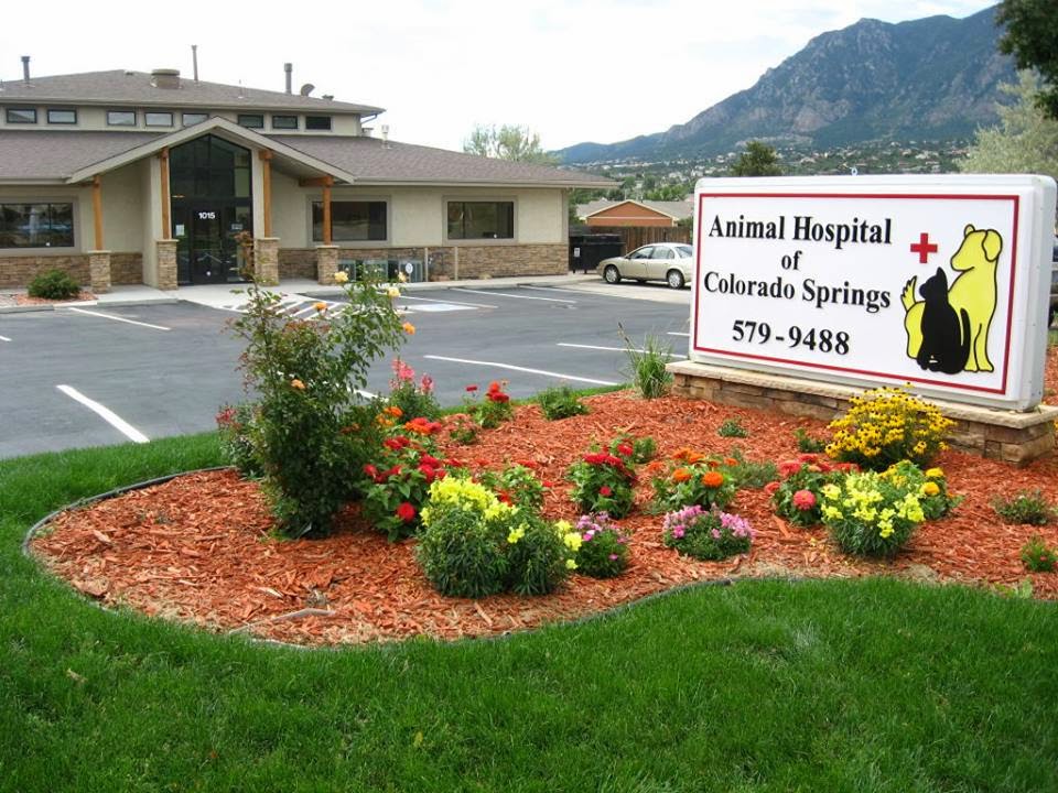 Animal Hospital Of Colorado Springs - Colorado Springs , United States
