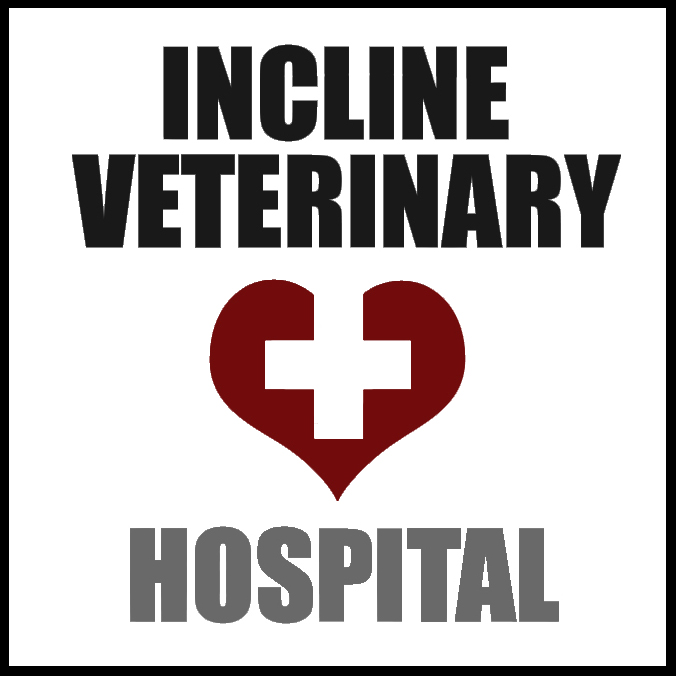 Incline Veterinary Hospital - Incline Village , United States