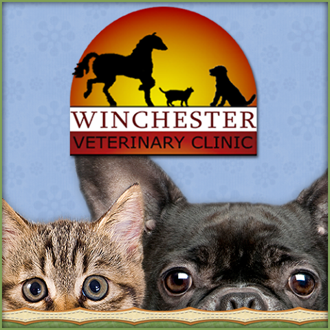 Winchester Veterinary Clinic - Canal Winchester , United States