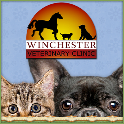 Winchester best sale pet clinic