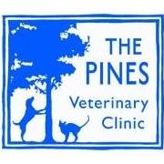 Pines Veterinary Clinic Maidenhead - Maidenhead , United Kingdom