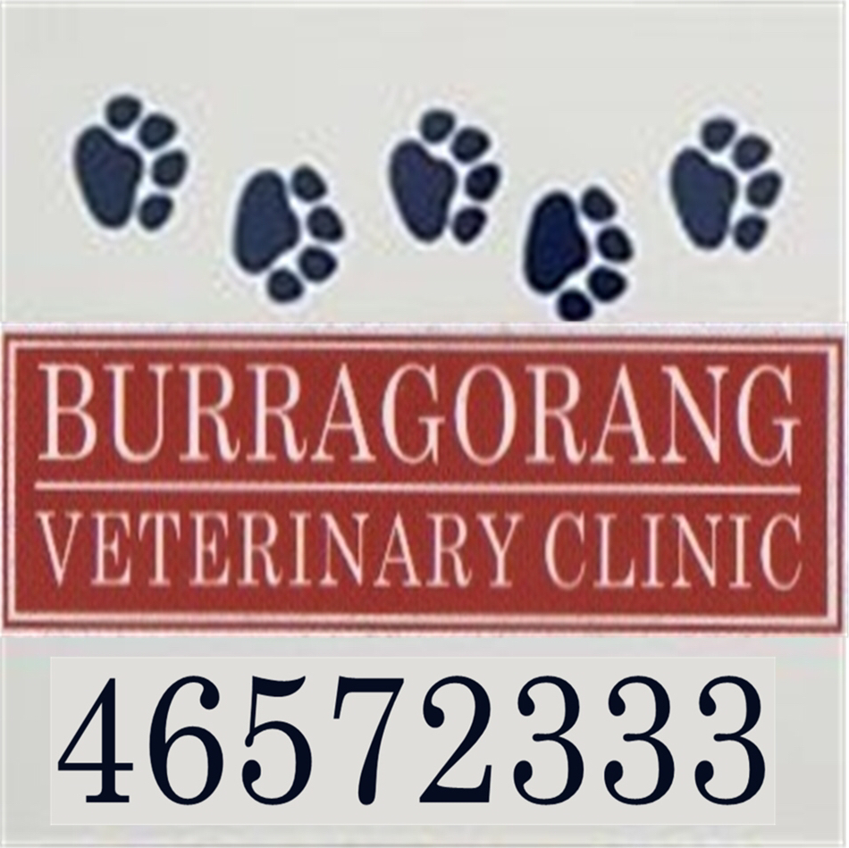 Burragorang Veterinary Clinic - The Oaks , Australia