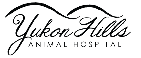 Yukon Hills Animal Hospital - Yukon , United States